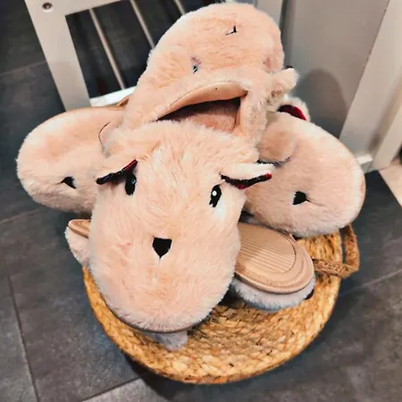 Onnela With Sauna,wifi And Parking Near Santa Village アパート ロヴァニエミ